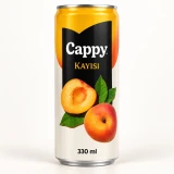 KUTU MEYVE SUYU KAYISI (330 ml) küçük görseli